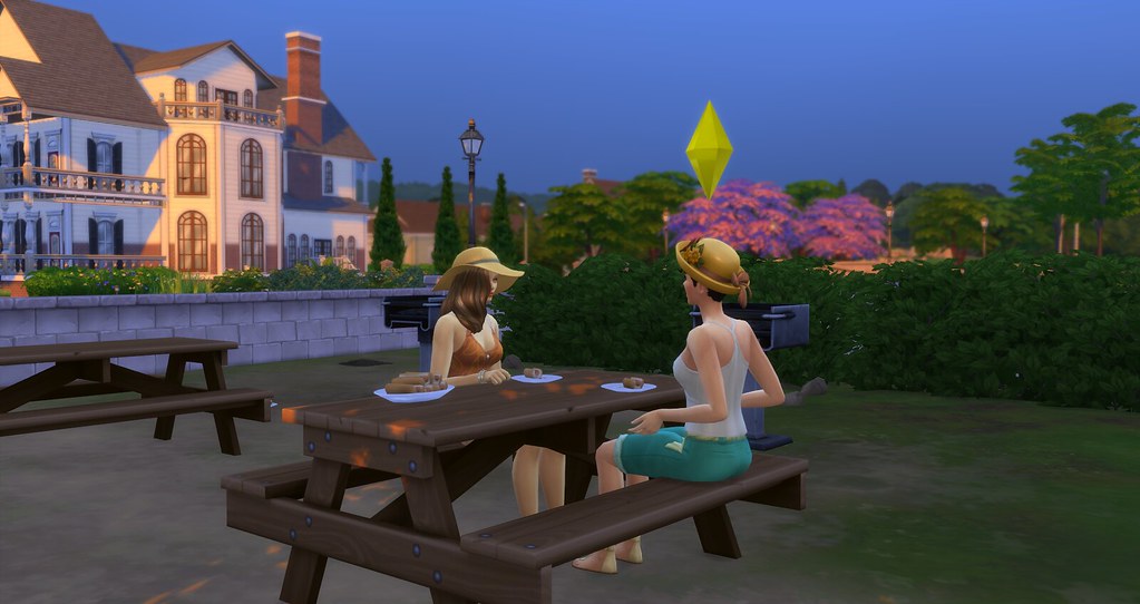 Sims 4 Summer Picnic Willow Creek