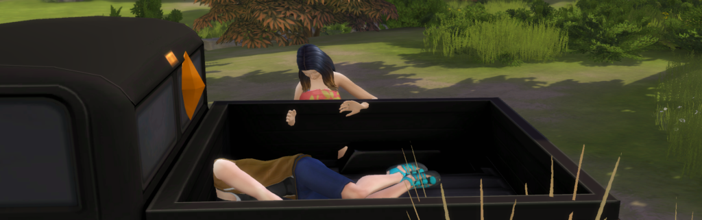 Sims Life Tragedies